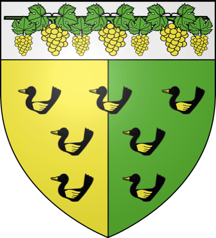Ramoneur La Chapelle-Vaupelteigne