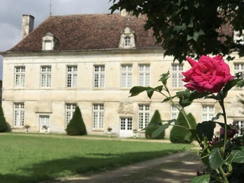 Ramoneur Viviers